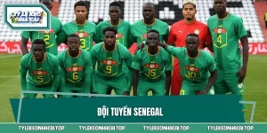 Đội Tuyển Senegal - Sức Mạnh Của Những Chú Sư Tử Teranga